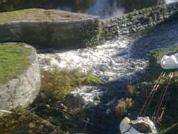 millstreet 11640.jpg
